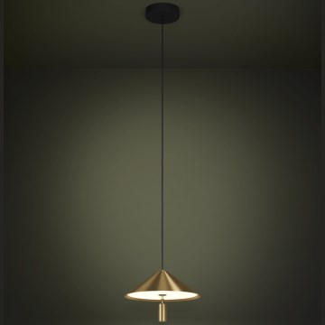 Eglo - LED Luster na sajli LED/12W/230V 3000K zlatna