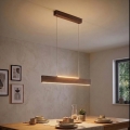 Eglo - LED luster na sajli LED/17W/230V + LED/4,2W orah