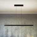 Eglo - LED luster na sajli s mogućnošću prigušivanja LED/30W/230V crna + daljinski upravljač