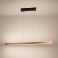 Eglo - LED luster s prigušivanjem na sajli LED/30W/230V 2200-6500K zlatna + daljinski upravljač