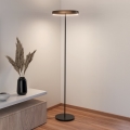 Eglo - LED podna lampa s mogućnošću prigušenja i senzorom pokreta 2xLED/19W/230V 2200-6500K smeđa