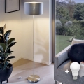 Eglo - LED  Podna lampa TUNJA 1xE27/60W/230V mat krom/siva