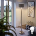 Eglo - LED  Podna lampa TUNJA 1xE27/60W/230V mat krom/taupe