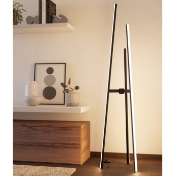 Eglo - LED podna svjetiljka LED/30W/230V crna