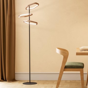 Eglo - LED podna svjetiljka s prigušivačem LED/20W/230V mesing