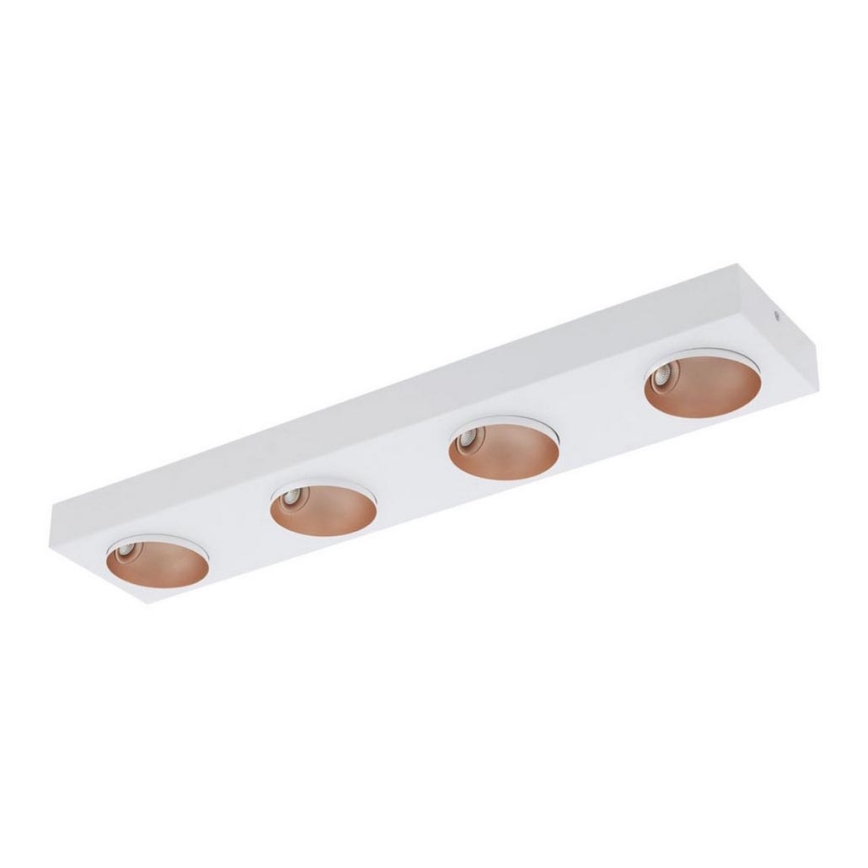 Eglo - LED Prigušiva stropna svjetiljka 4xLED/3,3W/230V