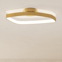 Eglo - LED Prigušiva stropna svjetiljka LED/25,2W/230V
