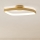 Eglo - LED Prigušiva stropna svjetiljka LED/25,2W/230V