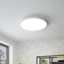 Eglo - LED Prigušiva stropna svjetiljka LED/30W/230V +DU