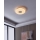 Eglo - LED Prigušiva stropna svjetiljka LED/44,8W/230V 2700-6500K ZigBee