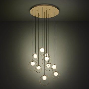 Eglo - LED Prigušivi luster na sajli 10xLED/3W/230V 3000K pr. 58 cm zlatna