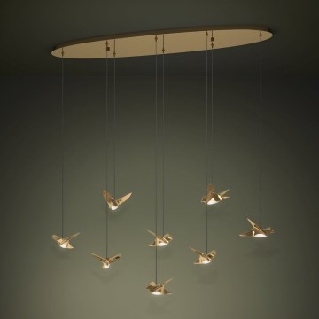 Eglo - LED Prigušivi luster na sajli 8xLED/4,2W/230V 3000K zlatna