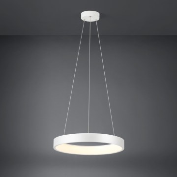 Eglo - LED Prigušivi luster na sajli LED/34W/230V