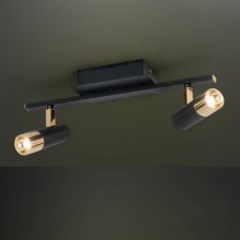 Eglo - LED reflektorska svjetiljka 2xLED/5W/230V/12V