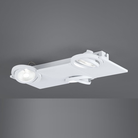 Eglo - LED reflektorska svjetiljka 3xLED/5W/230V/12V