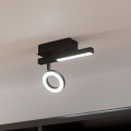 Eglo - LED Reflektorska svjetiljka LED/3,2W/230V + LED/2,2W
