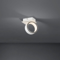 Eglo - LED Reflektorska svjetiljka LED/4,6W/230V 3000K