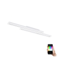 Eglo - LED RGB Dimmabilno stropno svjetlo SALITERAS-C 2xLED/10W/230V