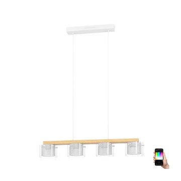 Eglo - LED RGBW dimabilni luster na užetu 4xLED/3,7W/230V 2700-6500K