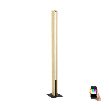 Eglo - LED RGBW Dimmabilna podna lampa LED/35W/230V 2700-6500K