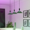 Eglo - LED RGBW luster na sajli s mogućnošću prigušivanja 3xLED/7,5W/230V 2700-6500K crna