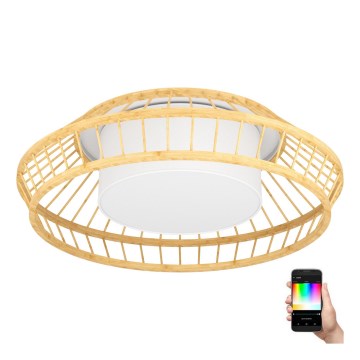 Eglo - LED RGBW Prigušiva stropna svjetiljka LED/22W/230V 2700-6500K