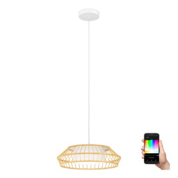 Eglo - LED RGBW prigušivački luster na užetu LED/22W/230V 2700-6500K