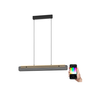 Eglo - LED RGBW prigušivački luster na užetu LED/34W/230V 2700-6500K