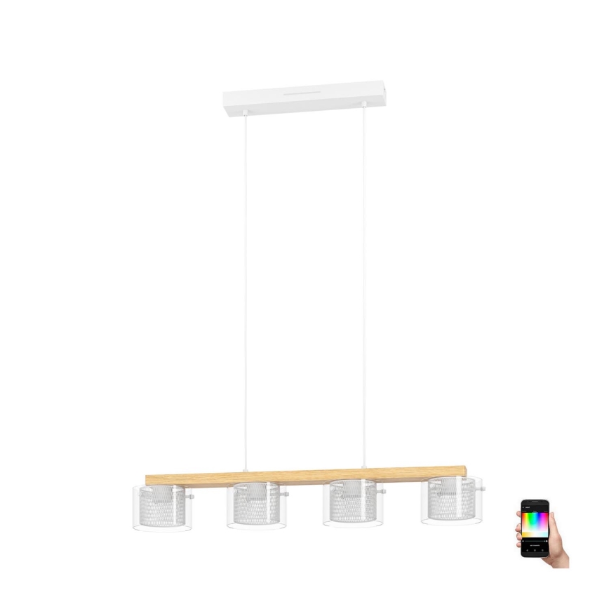 Eglo - LED RGBW Prigušivi luster na sajli 4xLED/3,7W/230V 2700-6500K
