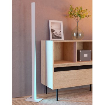 Eglo - LED RGBW Stojeća lampa s prigušivanjem LED/10,5W/230V + LED/15,2W 2700-6500K siva