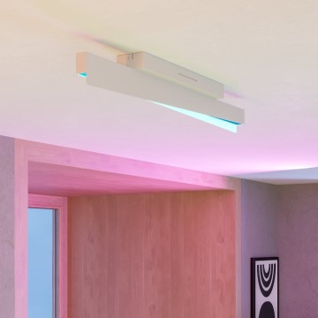 Eglo - LED RGBW stropna svjetiljka s mogućnošću prigušivanja LED/13W/230V 2700-6500K siva