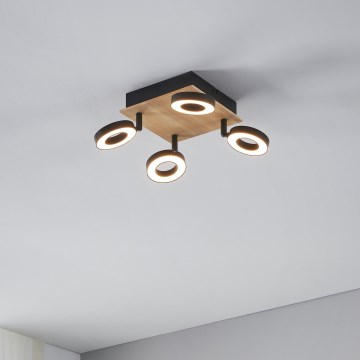 Eglo - LED spot svjetiljka 4xLED/4,2W/230V crna/smeđa