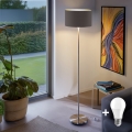 Eglo - LED Stajaća lampa TUNJA 1xE27/60W/230V mat krom/taupe