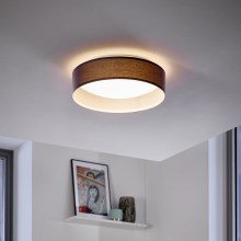 Eglo - LED Stropna svjetiljka 1xLED/12W/230V