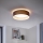 Eglo - LED Stropna svjetiljka 1xLED/12W/230V