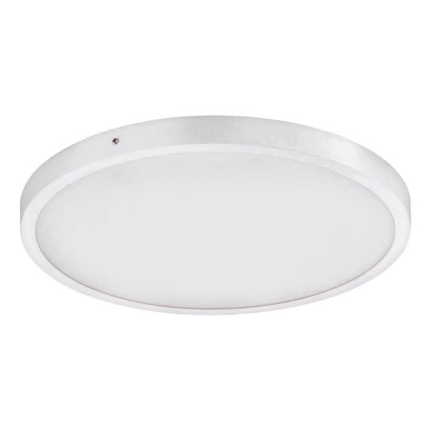 Eglo - LED Stropna svjetiljka 1xLED/25W/230V bijela okrugli 4000K