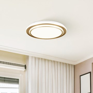Eglo - LED stropna svjetiljka, 36W/230V, 2700/4000/6500K, promjer 49 cm, zlatna