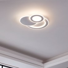 Eglo - LED stropna svjetiljka 3xLED/11W/230V