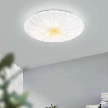 Eglo - LED Stropna svjetiljka LED/10W/230V