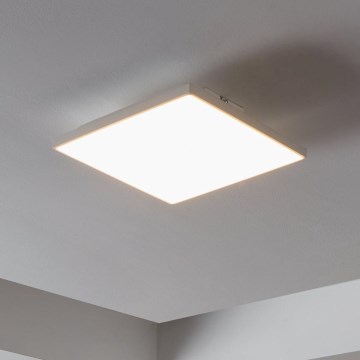 Eglo - LED Stropna svjetiljka LED/10W/230V