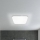 Eglo - LED Stropna svjetiljka LED/11,5W/230V