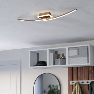 Eglo - LED Stropna svjetiljka LED/12W/230V 4000K bakrena