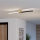 Eglo - LED Stropna svjetiljka LED/12W/230V 4000K crna