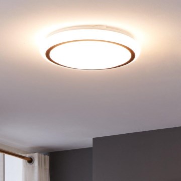 Eglo - LED Stropna svjetiljka LED/14,6W/230V