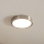 Eglo - LED Stropna svjetiljka LED/16,5W/230V
