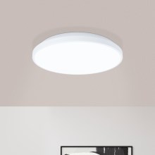 Eglo - LED Stropna svjetiljka LED/16W/230V