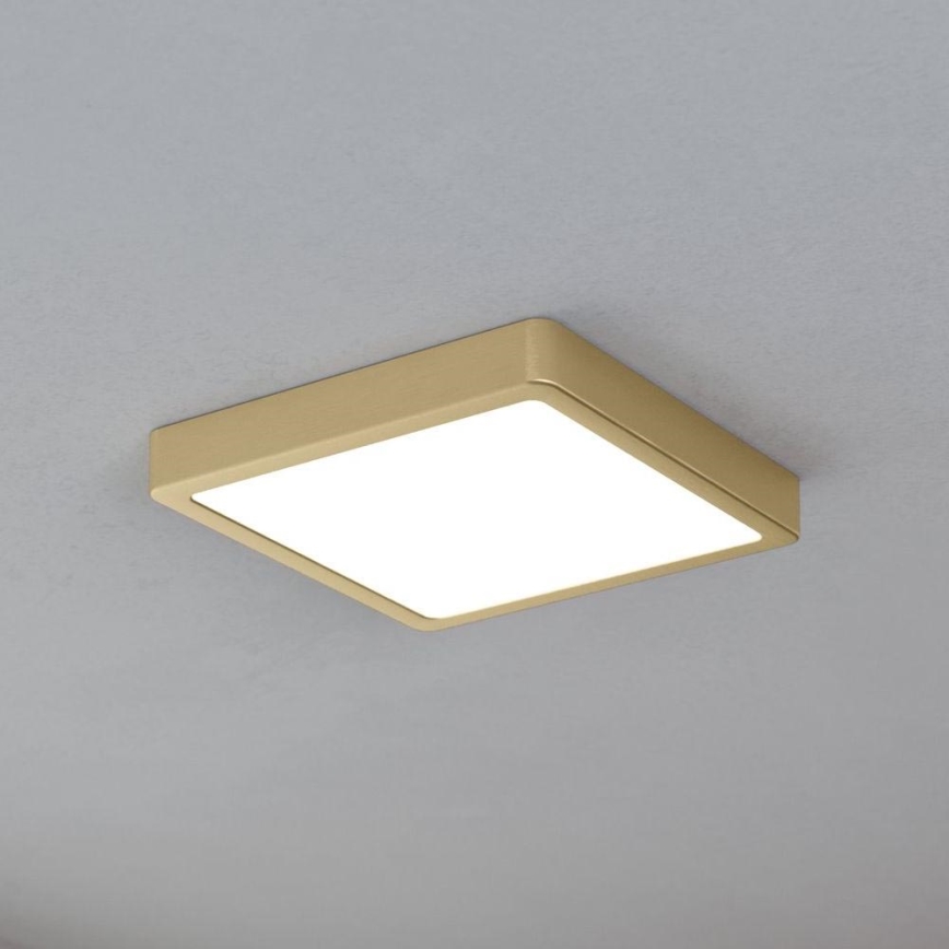 Eglo - LED stropna svjetiljka LED/17W/230V 21x21 cm