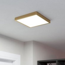Eglo - LED Stropna svjetiljka LED/20,5W/230V