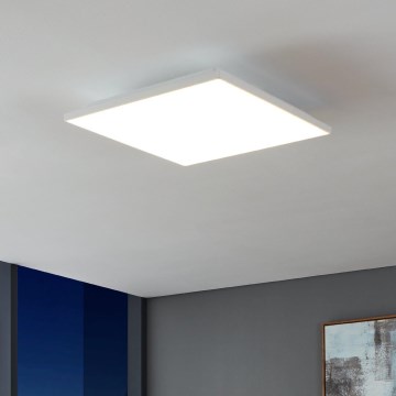 Eglo - LED Stropna svjetiljka LED/21W/230V