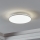 Eglo - LED Stropna svjetiljka LED/21W/230V pr. 38 cm
